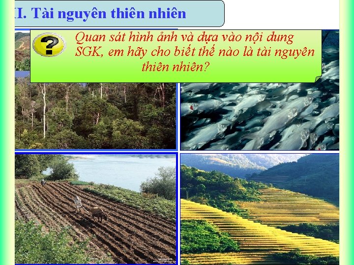 III. Tài nguyên thiên nhiên Quan sát hình ảnh và dựa vào nội dung