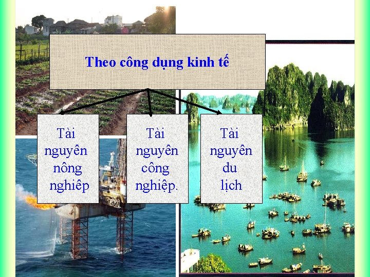 Theo công dụng kinh tế Tài nguyên nông nghiêp Tài nguyên công nghiệp. Tài
