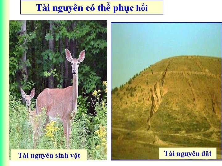 Tài nguyên có thể phục hồi Tài nguyên sinh vật Tài nguyên đất 
