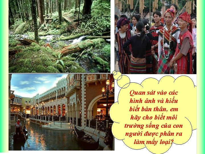 Quan sát vào các hình ảnh và hiểu biết bản thân, em hãy cho