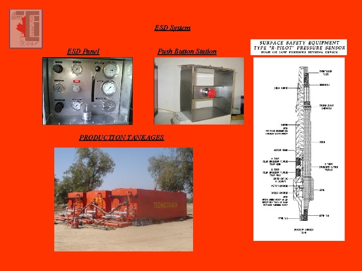 ESD System ESD Panel Push Button Station PRODUCTION TANKAGES 