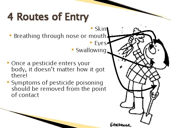 4 Routes of Entry • Skin • Breathing through nose or mouth • Eyes
