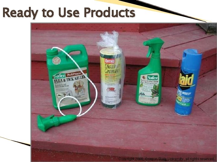 Ready to Use Products Copyright 2006, Oregon State University, all rights reserved. 