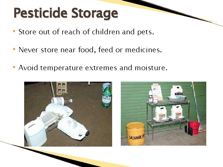 Pesticide Storage • Store out of reach of children and pets. • Never store