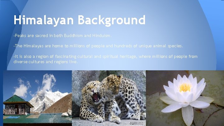 Himalayan Background -Peaks are sacred in both Buddhism and Hinduism. -The Himalayas are home