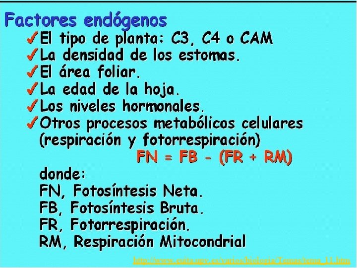 http: //www. euita. upv. es/varios/biologia/Temas/tema_11. htm 
