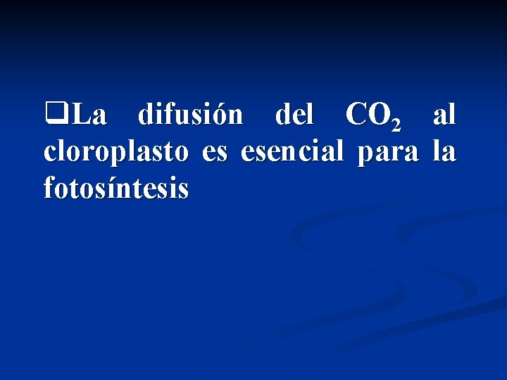 q. La difusión del CO 2 al cloroplasto es esencial para la fotosíntesis 
