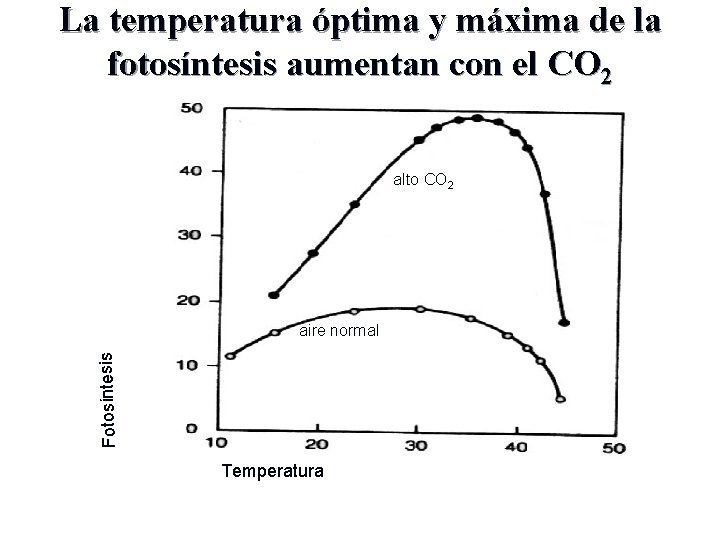 La temperatura óptima y máxima de la fotosíntesis aumentan con el CO 2 alto