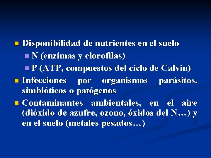 Disponibilidad de nutrientes en el suelo n N (enzimas y clorofilas) n P (ATP,