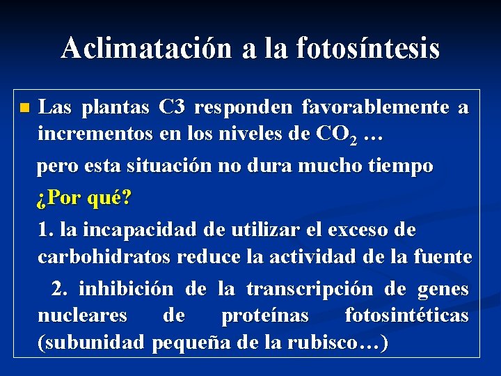 Aclimatación a la fotosíntesis n Las plantas C 3 responden favorablemente a incrementos en