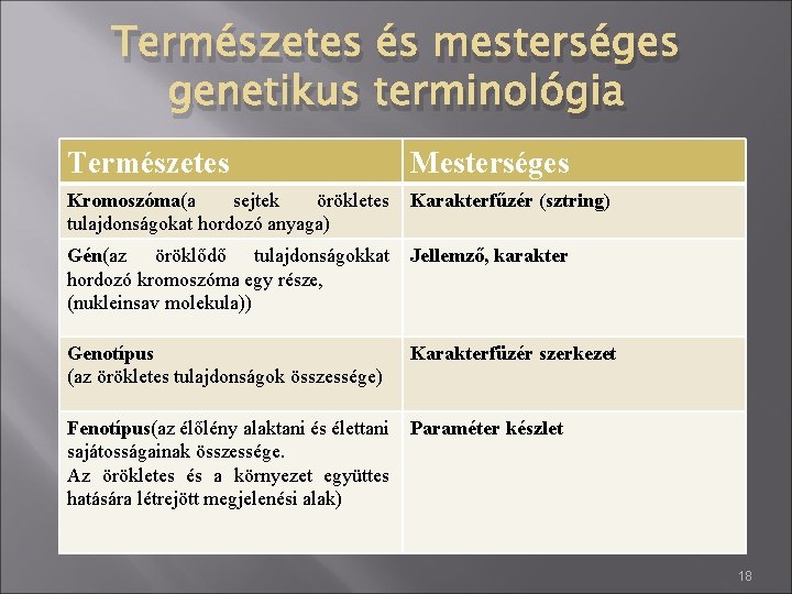 Természetes és mesterséges genetikus terminológia Természetes Mesterséges Kromoszóma(a sejtek örökletes tulajdonságokat hordozó anyaga) Karakterfűzér