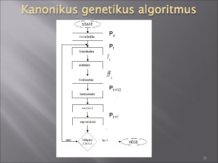 Kanonikus genetikus algoritmus Po Pt f i ff i Pt+1/2 Pt+1’ 21 