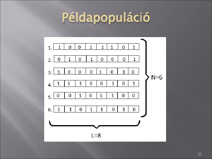 Példapopuláció 25 