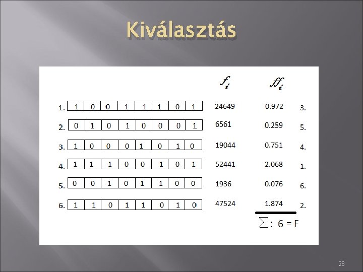 Kiválasztás 28 