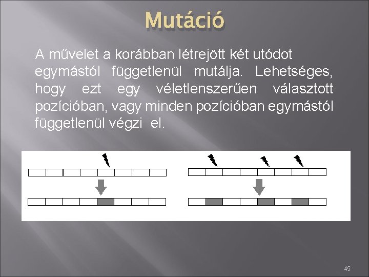 Mutáció A művelet a korábban létrejött két utódot egymástól függetlenül mutálja. Lehetséges, hogy ezt