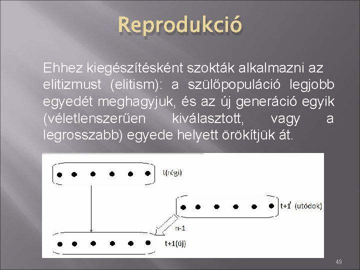 Reprodukció Ehhez kiegészítésként szokták alkalmazni az elitizmust (elitism): a szülőpopuláció legjobb egyedét meghagyjuk, és