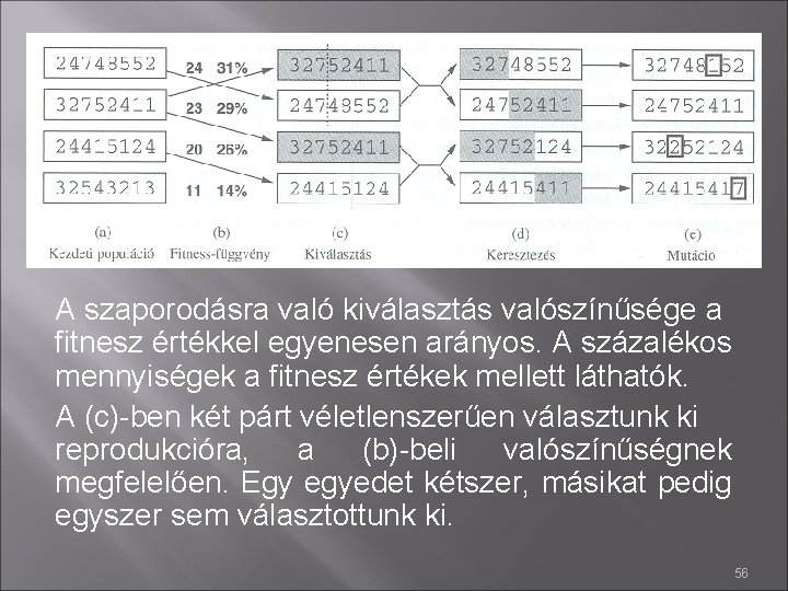 GA - Nyolc királynő A szaporodásra való kiválasztás valószínűsége a fitnesz értékkel egyenesen arányos.