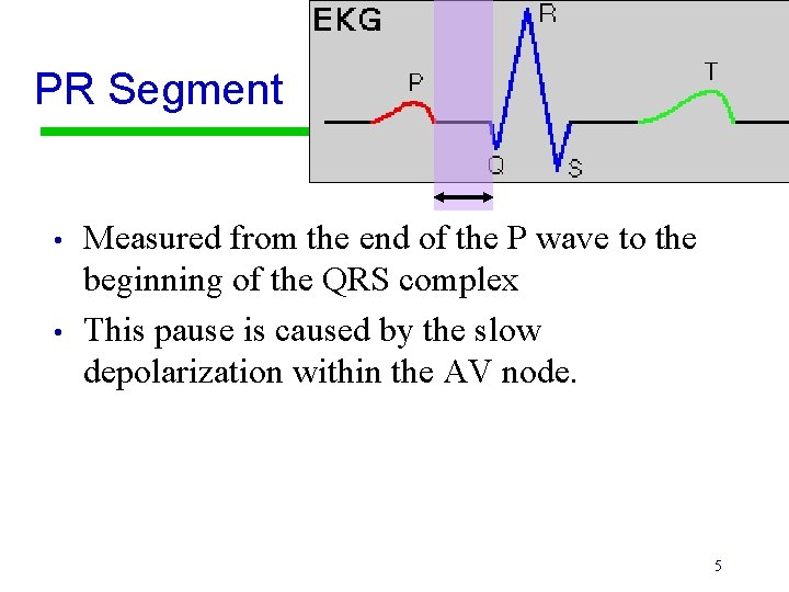 PR Segment • • Measured from the end of the P wave to the