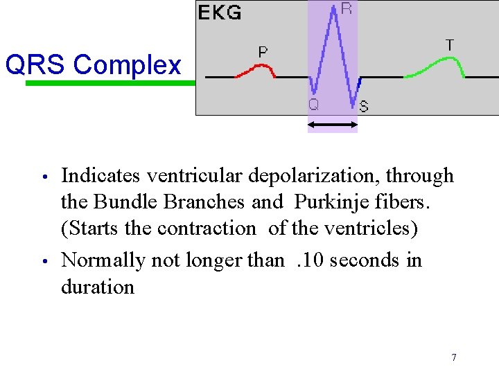 QRS Complex • • Indicates ventricular depolarization, through the Bundle Branches and Purkinje fibers.