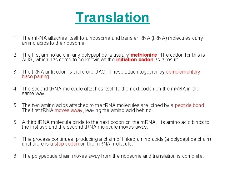 Translation 1. The m. RNA attaches itself to a ribosome and transfer RNA (t.