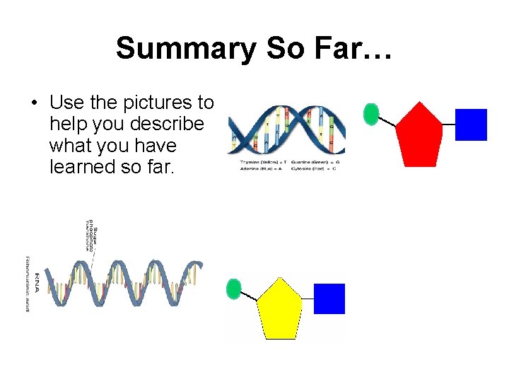 Summary So Far… • Use the pictures to help you describe what you have