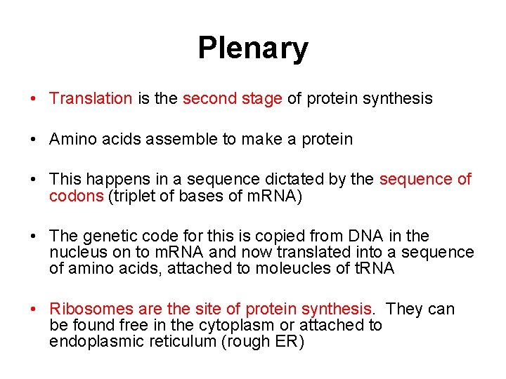 Plenary • Translation is the second stage of protein synthesis • Amino acids assemble