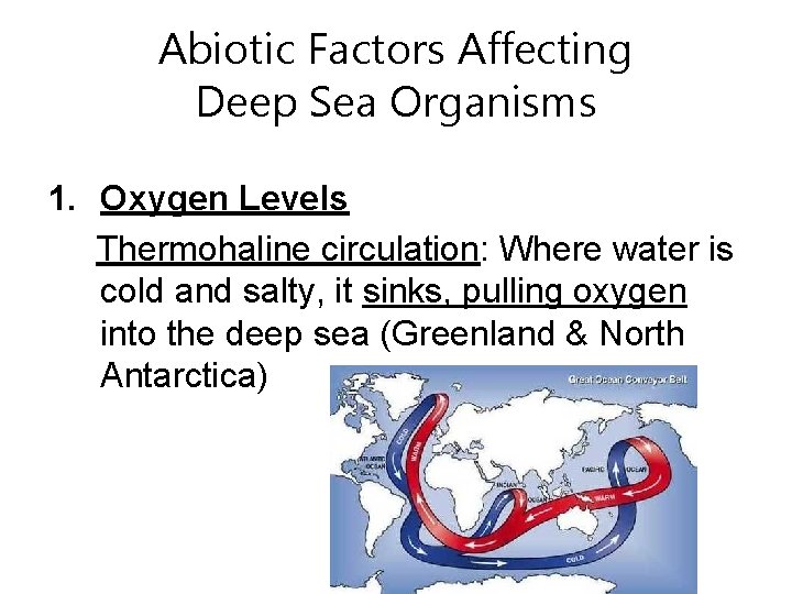 Abiotic Factors Affecting Deep Sea Organisms 1. Oxygen Levels Thermohaline circulation: Where water is