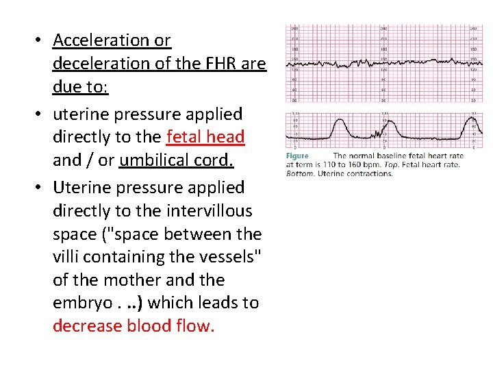  • Acceleration or deceleration of the FHR are due to: • uterine pressure