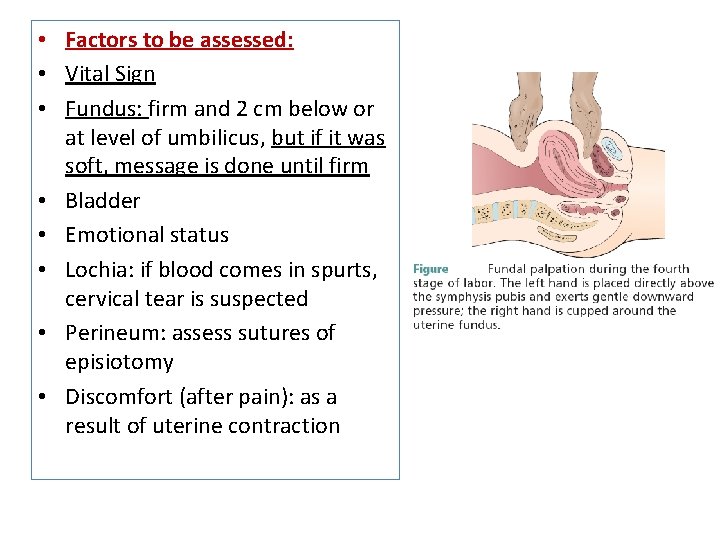  • Factors to be assessed: • Vital Sign • Fundus: firm and 2