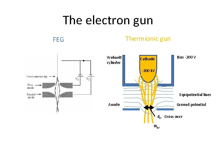 The electron gun Thermionic gun FEG Wehnelt cylinder Bias -200 V Cathode -200 k.