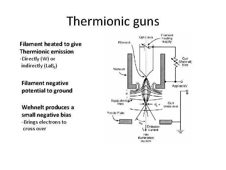 Thermionic guns Filament heated to give Thermionic emission -Directly (W) or indirectly (La. B