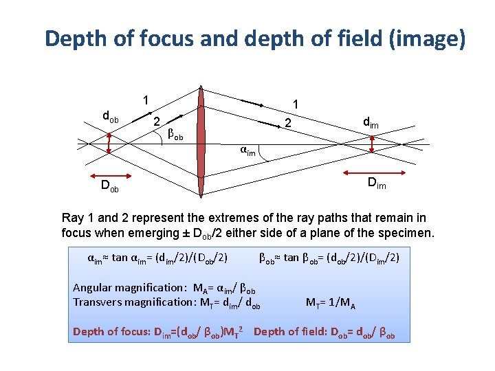 Depth of focus and depth of field (image) 1 dob 1 2 βob dim