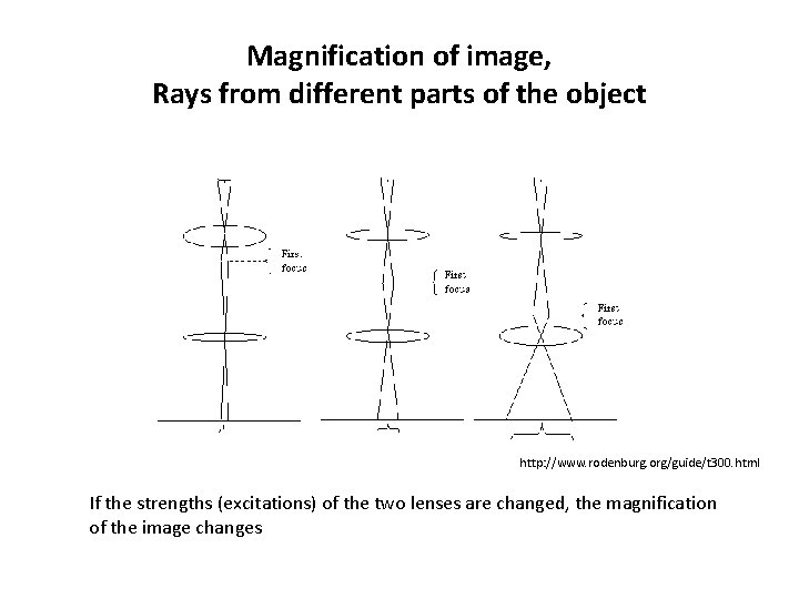 Magnification of image, Rays from different parts of the object http: //www. rodenburg. org/guide/t