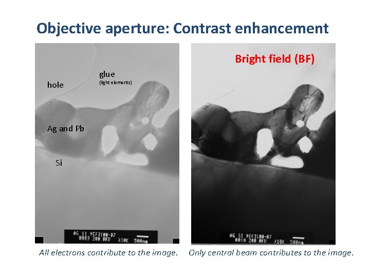 Objective aperture: Contrast enhancement Bright field (BF) hole glue (light elements) Ag and Pb