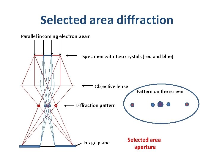 Selected area diffraction Parallel incoming electron beam Specimen with two crystals (red and blue)