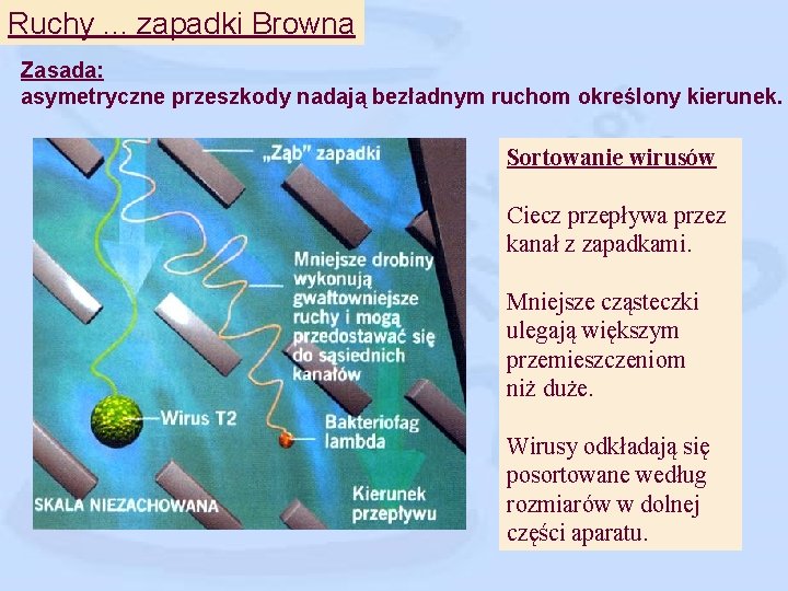 Ruchy. . . zapadki Browna Zasada: asymetryczne przeszkody nadają bezładnym ruchom określony kierunek. Sortowanie