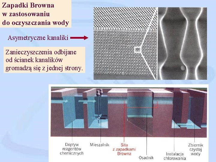 Zapadki Browna w zastosowaniu do oczyszczania wody Asymetryczne kanaliki Zanieczyszczenia odbijane od ścianek kanalików