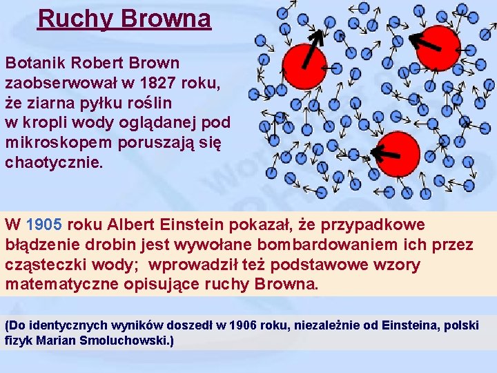 Ruchy Browna Botanik Robert Brown zaobserwował w 1827 roku, że ziarna pyłku roślin w