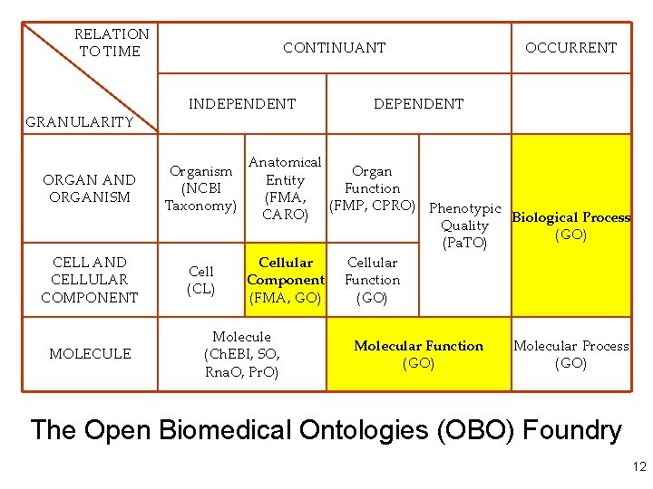 RELATION TO TIME GRANULARITY CONTINUANT INDEPENDENT ORGAN AND ORGANISM Organism (NCBI Taxonomy) CELL AND