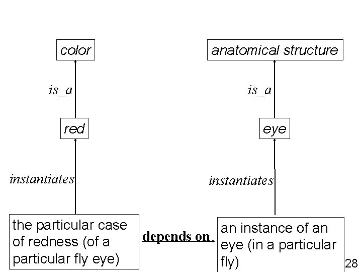 color is_a red instantiates anatomical structure is_a eye instantiates the particular case an instance