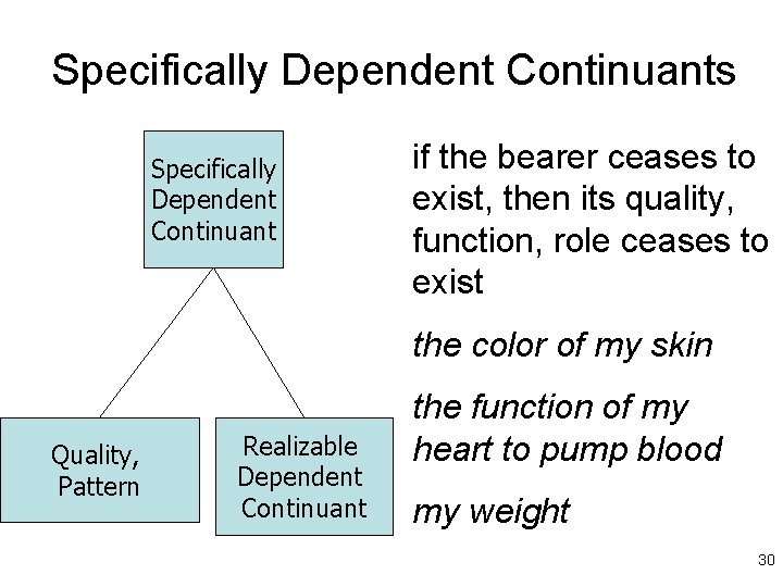 Specifically Dependent Continuants Specifically Dependent Continuant if the bearer ceases to exist, then its