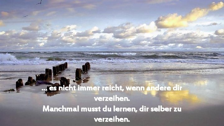 . . . es nicht immer reicht, wenn andere dir verzeihen. Manchmal musst du
