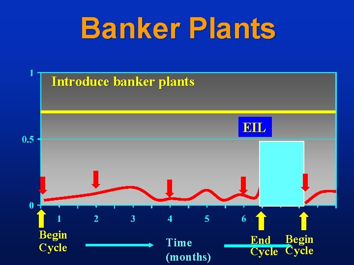 Banker Plants Introduce banker plants EIL Begin Cycle Time (months) End Begin Cycle 