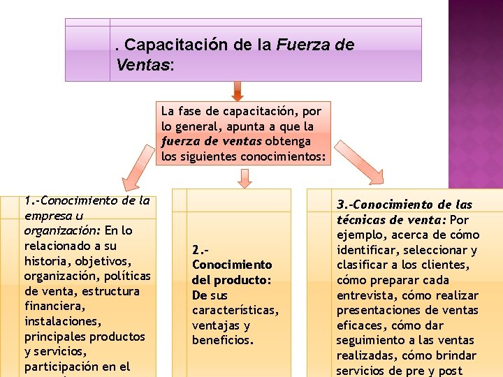  . Capacitación de la Fuerza de Ventas: La fase de capacitación, por lo