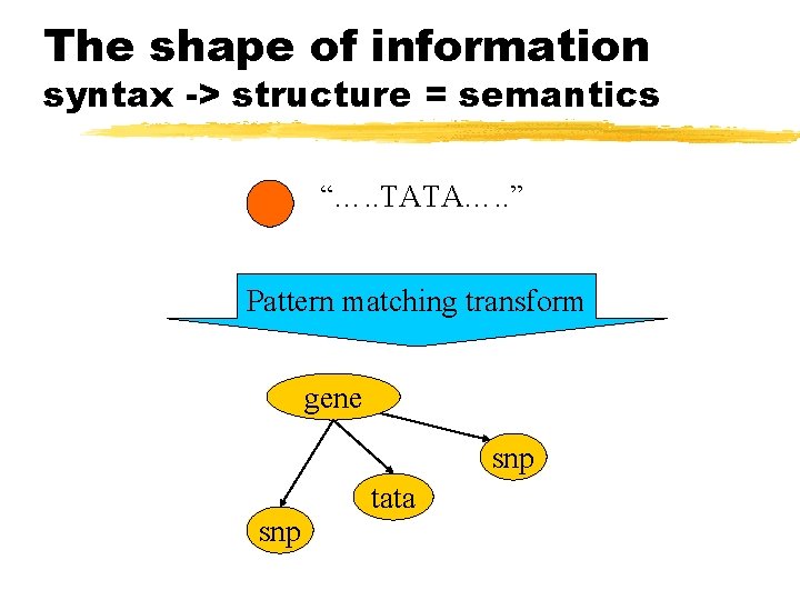 The shape of information syntax -> structure = semantics “…. . TATA…. . ”