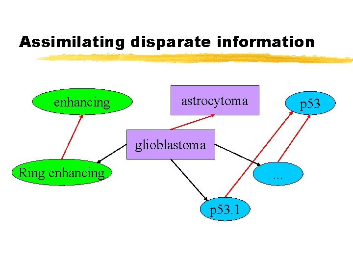 Assimilating disparate information enhancing astrocytoma p 53 glioblastoma Ring enhancing . . . p