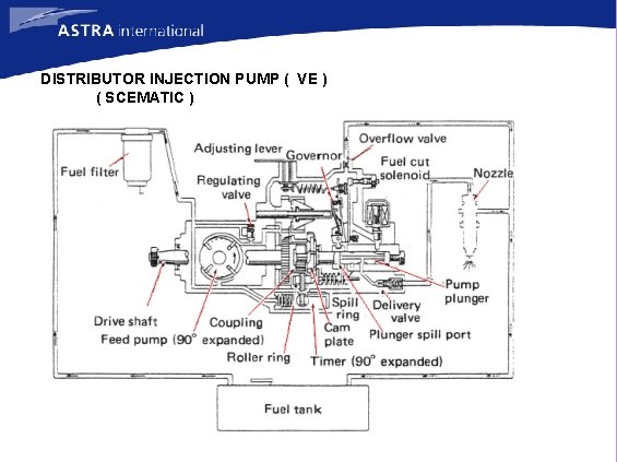 DISTRIBUTOR INJECTION PUMP ( VE ) ( SCEMATIC ) 