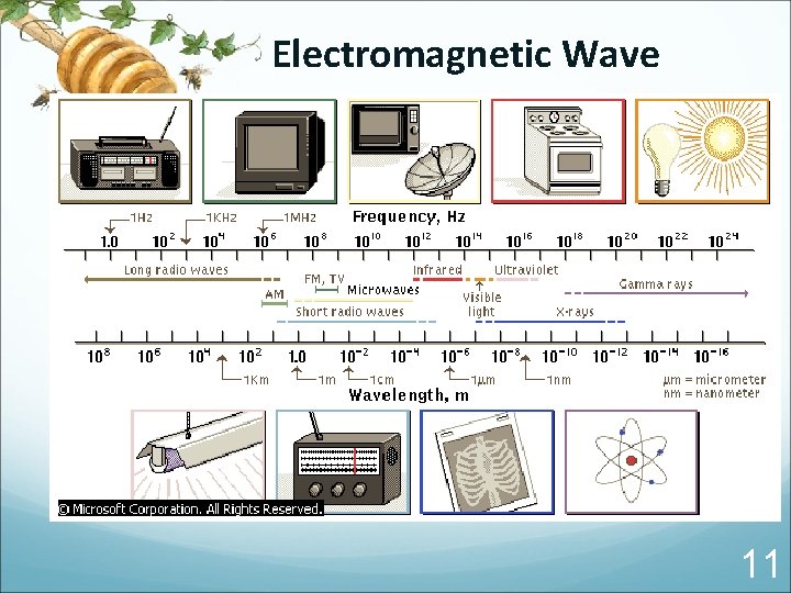 Electromagnetic Wave 11 