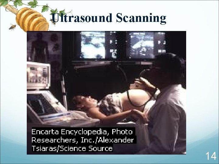 Ultrasound Scanning 14 