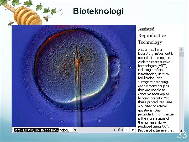 Bioteknologi 33 